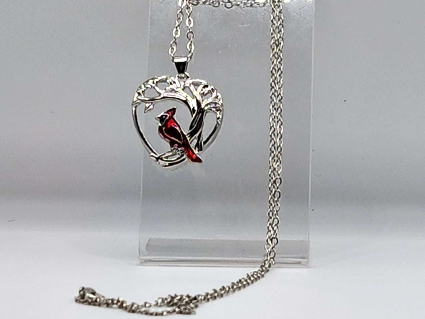 Red bird cardinal in tree in heart