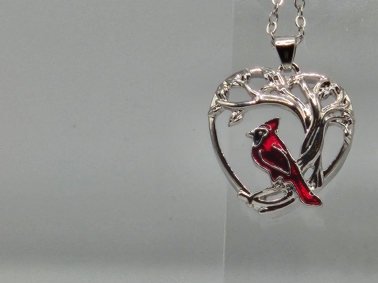 Red bird cardinal in tree in heart